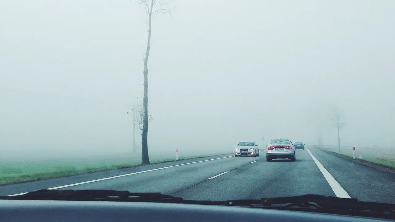 Samochód jadący drogą we mgle
