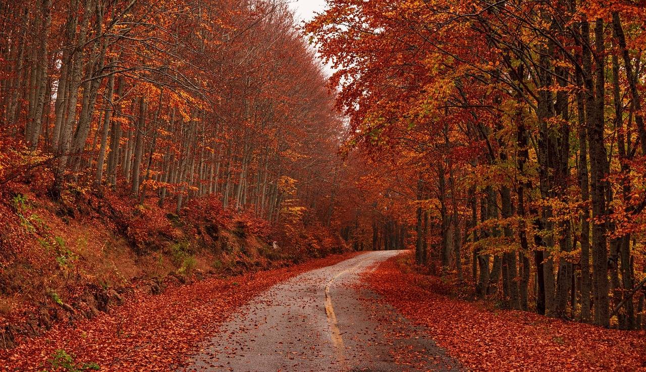 Jesień na drodze